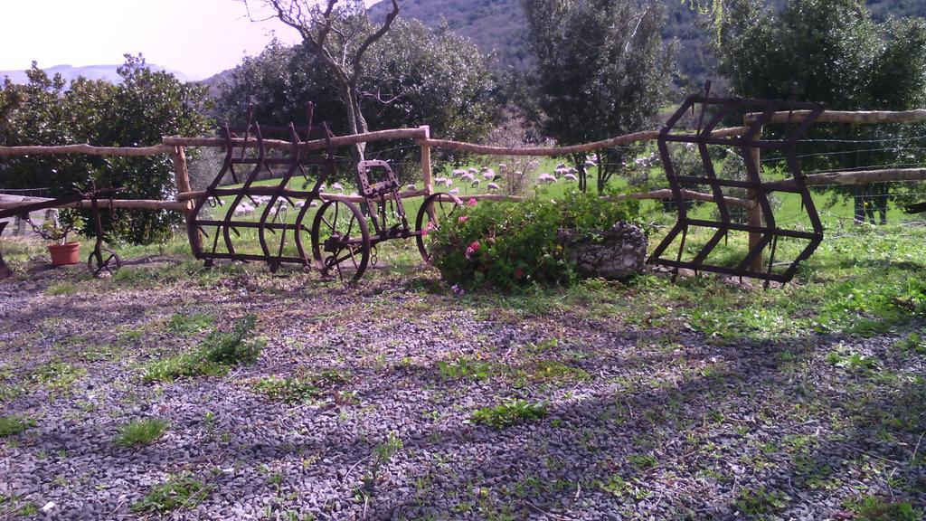 Agriturismo Cugumia Thiesi Buitenkant foto